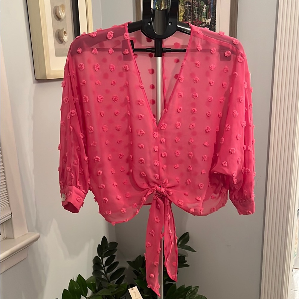 Pink Sheer Tie-Front Blouse